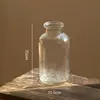 Vaso de Vidro Marrom Insulano Celebridade da Internet Retrô Arranjo de Flores Transparente Marrom Arranjo de Flores com Cultura de Água Ornamentos