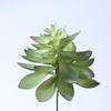 Simulação de PVC suculenta cerâmica bonsai planta flor Home Office em vaso pequenos ornamentos fábrica de flores falsas atacado