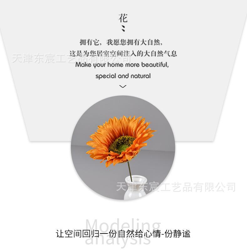 详情_05.png