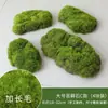 Grama de Musgo Biónica Artificial Musgo Falso Micro Paisagismo Decoração Gramado Bonsai Plantado em Vaso Pavimentação Paisagismo