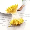 Palito de Fósforo com Cabeça de Estame de Flor Seca Mate Estilo Coreano Feito à Mão DIY para Fazer Materiais e Acessórios de Flores Tridimensionais