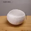 Vaso Hidropônico Cerâmico Irregular Criativo Design Moderno Minimalista para Decoração de Casa Formato de Ovo para Cultivar Plantas Verdes