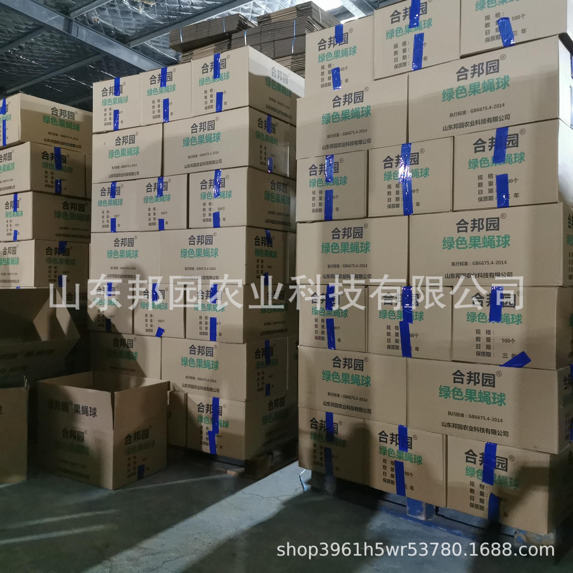 果蝇球7.jpg