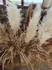 Henos, Paja Seca, Accesorios Decorativos para Fotografía, Manojos de Paja, Montones de Heno, Paisajismo, Henos de Granja, Taburetes