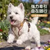 Arnés para Perros Four Seasons City Gravity para Perros Pequeños y Medianos, Anti-Tirón, No Asfixiante, Arnés de Primavera y Verano