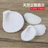 Conchas Blancas Naturales, Caracolas Pequeñas, Estrellas de Mar, Suministros de Decoración para Paisajismo de Acuarios 4- 10cm Conchas para Cangrejos Ermitaños al por Mayor