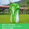 Esculturas Grandes de Frutas y Verduras Huerta de Frutas y Verduras Diseño de Granja Decoración de Modelado de Paisaje Adornos de Calabaza Modelos