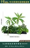 Flores Artificiais Plantas Verdes Conjunto de Divisória Decorativa Flores de Plástico e Seda Decoração de Paisagismo Arranjo de Paisagem Exibição de Janela Interna