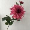 Estilo Europeu 2 Cabeças Crisântemo Flor Peônia Tianzhu Flor de Seda Simulada Conjunto de Auditório Modelagem Hotel Arranjo de Flores de Boas-vindas