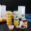 Forma de gelo descartável, caixa congeladora pequena para fazer gelo, saco de gelo pudim, ferramenta simples para porcionar maracujá, embalado individualmente