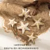 2025 Nuevo Pasador de Concha Marina Tridimensional Pinza para Flequillo de Perla de Concha Natural Accesorios para el Cabello de Estrella de Mar para Vacaciones en la Playa
