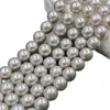 Muchísimas Perlas Grises Claras Tipo Perla con Perlas de Imitación de Concha de Colores, Perlas de Vidrio de Cristal, Perlas Sueltas, Accesorios Semi-Terminados para DIY