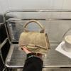 2025 Primavera Nueva Moda Nicho Lujo Ligero Bolso de Mujer de Un Hombro Cruzado Bolso de Mano Moderno Bolso de Mujer Sensación de Alta Gama