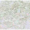 Laca nacarada, finas peças de madrepérola, arte para unhas, pintura em laca, peças de madrepérola, materiais DIY, laca incrustada, papel nacarado
