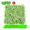 Planta artificial de simulación pared de plantas decoración de plantas verdes interior color eucalipto pino milán y ciprés tapete de césped pared de fondo de puerta