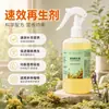 Regenerador de Ação Rápida Fertilizante Solúvel em Água Altamente Eficaz Solução Nutricional Molecular Orgânica Fertilizante para Flores de Uso Geral Planta em Vaso Fortuna e Riqueza