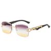 Nuevas Gafas de Sol sin Marco Transfronterizas Moda Europea y Americana Clásico Cuadrado Personalidad Leopardo Gafas de Sol de Moda para Hombres y Mujeres