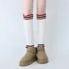 Estilo Retro Americano Nicho Académico Barras Paralelas Pie Estampado Pierna Tejida Alargada Conjunto de Calcetines Y2K Milenio Calcetines Apilables Botas Altas Calcetines