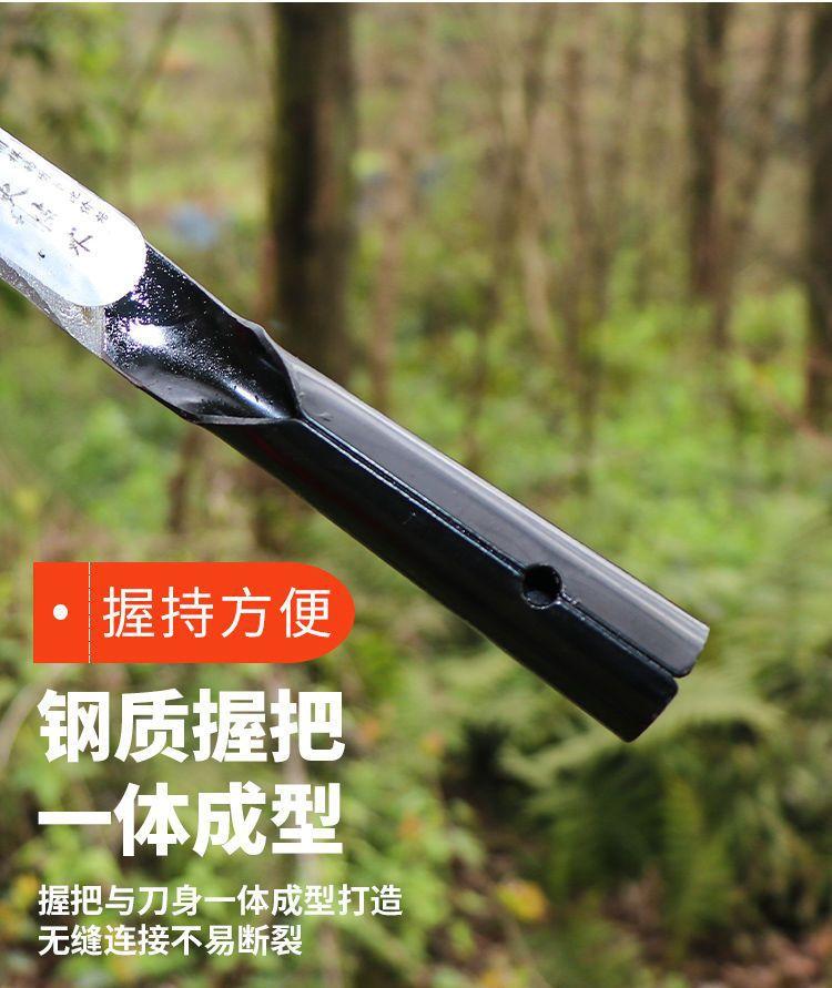 详情图片_5.jpeg