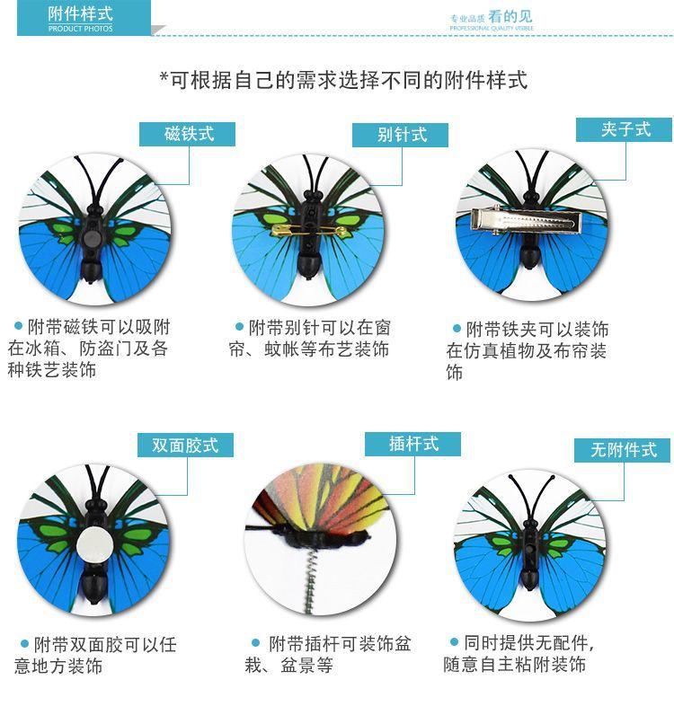 蝴蝶1_03.jpg