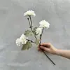 Arreglo de Escena de Flores Artificiales Dahlia Rayada de 5 Cabezas Adorno de Flor Artificial Ramo Decorativo Flor Artificial Realista de Gama Alta