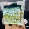 Kit de Artesanato DIY Cubo Mágico Tulipa Luminária de Noite Mar de Flores Rosa - Um presente atencioso para sua namorada ou melhor amiga, fornecido pela fábrica