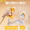 Juguete de cáscara de huevo de loro para agapornis y cacatúas, Juguete de cáscara de huevo comestible para pájaros, Tazón de snacks para entretenimiento y juego interactivo