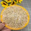 Piedra Volcánica y Piedra de Arroyo para Paisajismo de Acuario, Grava de Fondo sin Lavar, Piedra Ecológica Tradicional con Filtro para Plantas Acuáticas para Tortugas