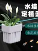 Aquário Cesta de Plantio Hidropônico Transparente Suporte de Parede Copo para Cultivo de Plantas Aquáticas Aquário Rack Decorativo para Paisagismo de Plantas Verdes Cesta Suspensa para Aquário