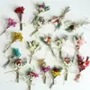 Flores Secas Naturales Flores Conservadas Ramos Pequeños 10cm Estilo Fresco Decoración de Regalo Ambiente del Hogar Arreglo Tienda de Fuente Directa de Fábrica