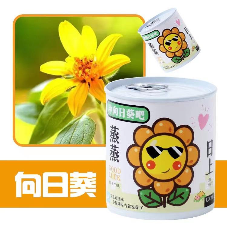 b1127265dbd715024b3e841248db6e