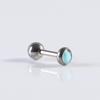 G23 brincos de pino coclear haltere olho de gato brincos de pedra charme senhoras orelha piercing jóias fabricantes atacado 16G