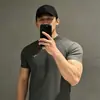 Camiseta Deportiva de Manga Corta para Hombre con Rejilla de Panal de Abeja para Verano, Sensación de Frescura, Secado Rápido, Puños Elásticos, Transpirable, Corte Ajustado