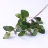 Simulación con hojas de eucalipto frutal, rama única, 4 tenedores, hoja de dinero, decoración de piso, flor falsa, simulación de flor, planta verde, adornos al por mayor