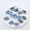 Cuentas Sueltas de Estrellas de Mar y Tortugas Marinas de Colores, Cuentas Espaciadoras Acrílicas Bicolor de Mariposa y Huella de Oso, Cuentas de Imitación de Concha con Agujero Recto, Accesorios para Joyería