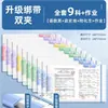 Carpeta Rotatoria Doble Clip Estilo Correa Color Morandi A4 Personalizada para Guardar Documentos y Exámenes con Varillas Dobles Espirales y Diseño Transparente