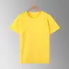 Usável em Todas as Estações, Seda de Leite 180g Gola Redonda Fina Manga Curta Roupa Casual Camiseta Lisa para Homens e Mulheres