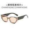 Europa y Estados Unidos nueva moda protección solar montura pequeña ojo de gato gafas de sol moda femenina alta gama moda fotografía callejera gafas de sol femeninas transfronterizo