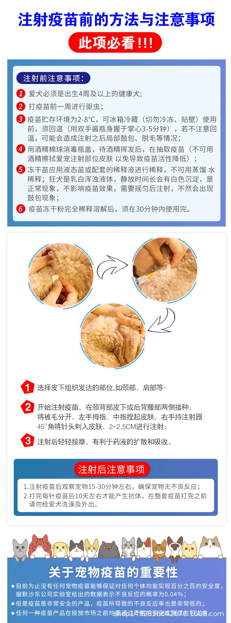 详情
