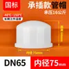 Rongsheng Tapón de Extremo de Tubería PVDF Tapa de Extremo Socket Termofusible Resistente a Altas Temperaturas Resistente a Ácidos y Álcalis Resistente a la Corrosión Tapón de Plástico Accesorios para Tuberías de Agua