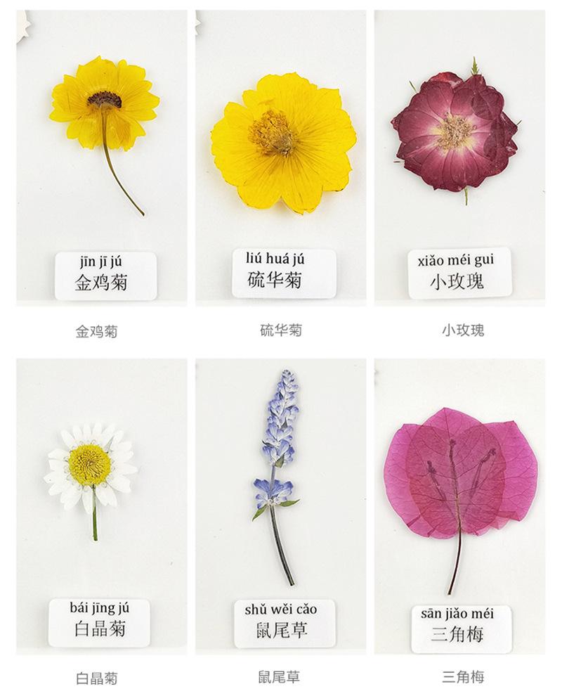 详情干花_09_副本.jpg