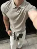 Camiseta de Manga Corta con Cuello de Gaviota Estilo Old Money para Hombre, Fresca para el Verano, Cuello Polo, Corte Casual, Camiseta de Media Manga