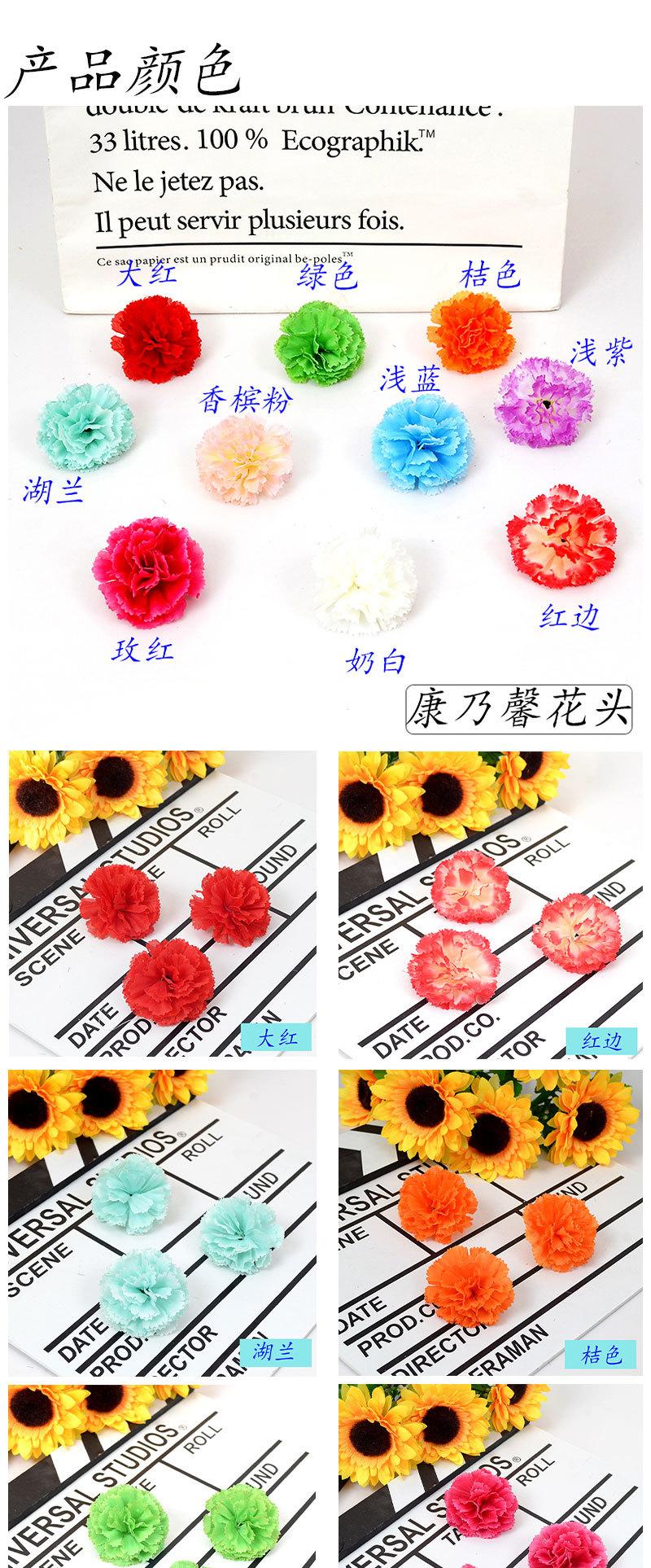 康乃馨花头_02.jpg