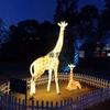 Escultura de Luz LED con Forma de Jirafa Luz Animal Frp Lámpara de Forma de Festival Luz de Árbol LED Iluminación Exterior