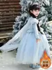 Vestido Princesa Elsa para Meninas, Vestido de Renda Frozen, Vestido Azul de Manga Longa, Vestido de Aniversário Estilo Sonhador
