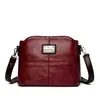 Bolso de Mujer Nueva Versión Coreana Pu de un Solo Hombro Cruzado Bolso para Mamá Simple Versátil Patchwork Bolso para Mamá de Mediana Edad Venta al por Mayor