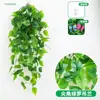 Potos Larga Enredadera Decorativa Ratán Hojas de Plástico Colgante de Pared Interior Flores Artificiales Plantas Verdes Colgando en la Pared Cesta Colgante