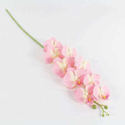 12820820596_717949217.400x400