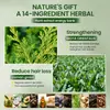 Comercio Transfronterizo Jabón en Barra de Champú de Hoja de Platycladus Orientalis, Jabón Fuerte Antirotura de Polygonum Multiflorum, Jabón de Limpieza Suave Usman, Jabón para Lavar el Cabello