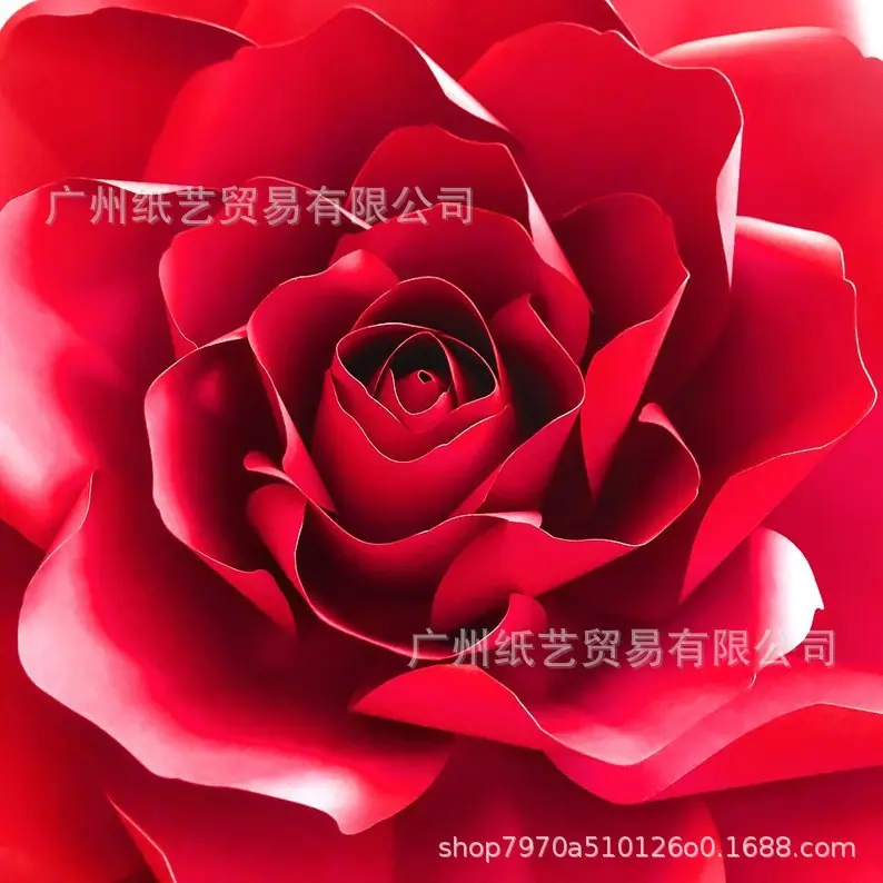il_794xN.1547043027_llf0.jpg